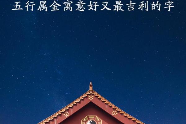 博字五行属什么