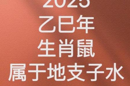 2025年属鼠1984年的全年运气如何(鼠2025年运势)