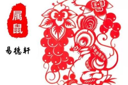 属鼠人今日财运(属鼠人今日财运运势)