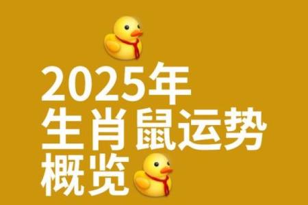 鼠年2025年的运势怎么样(鼠年2025年的运势怎么样虎)