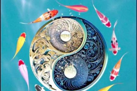 96年属鼠女2025年运势(96年属鼠女2025年运势如何)