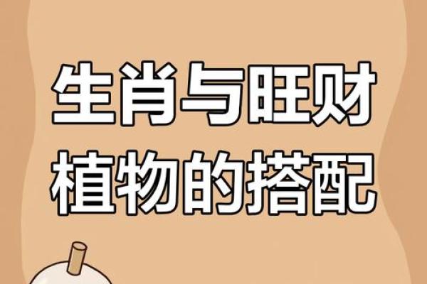 南北通商解一生肖 南北打一生肖是什么