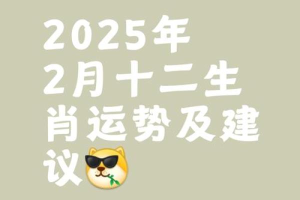 08年的鼠2025年的运势及运程怎么样(08年的鼠2021年怎么样) 08年的鼠2025年的运势及运程怎么样(08年的鼠2021年怎么样)