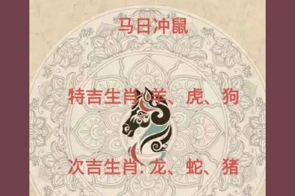 72的鼠在2025年的运势怎么样(1972年属鼠人2025年运势运程每月运程)