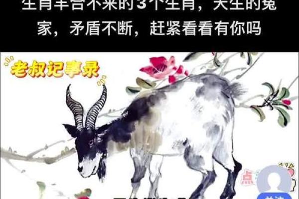 十里飘香打一生肖是什么动物 欲钱买十里飘香是什么生肖