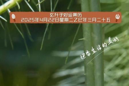 2025年4月2号是黄道吉日(2025年4月22号是农历多少)