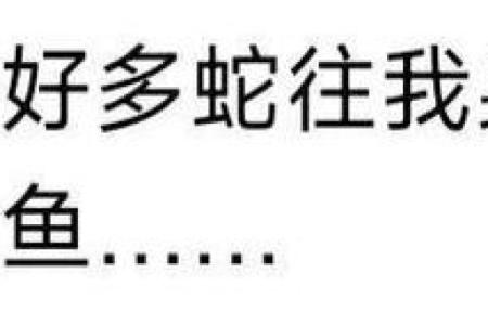 梦到蛇进家