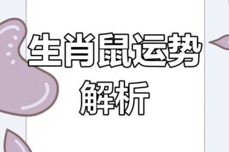 属鼠今日打麻将财运如何(属鼠今日打麻将财运如何褐色)