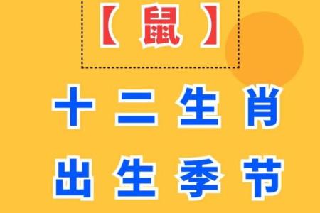 2024属鼠运势(2024属鼠运势下半年)