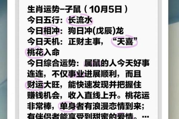 属鼠1972年2025年运势及运程(1972年属鼠人2023年全年运势)
