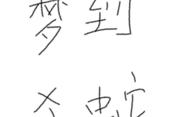 男人梦见两条蛇是什么征兆