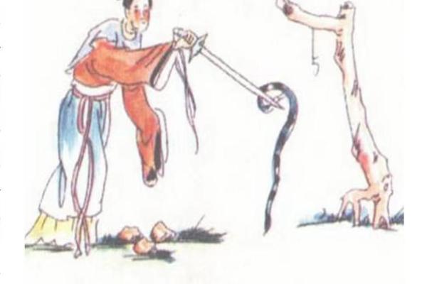 落地生根是什么生肖打一肖