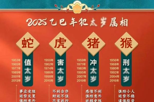 属鼠2025年的全年运势(属鼠2025年的全年运势及运程)
