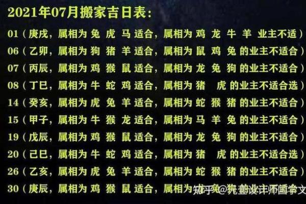 属鼠2025年的全年运势(属鼠2025年的全年运势及运程)