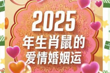 1996的鼠2025年运气怎么样(1996年属鼠未来十年运势)