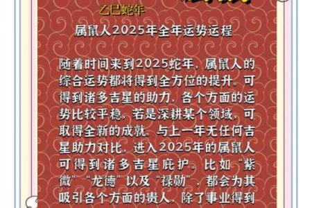 属鼠人2025年全年运势(属牛人2025年全年运势)