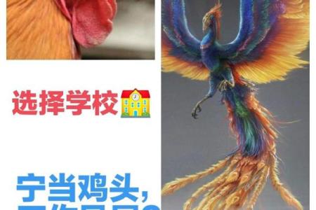 鸡头鸡尾指什么生肖