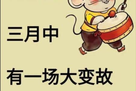 鼠人今日运势(鼠人今日运势及财运)