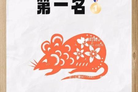 1984年女鼠2025年每月运势及运程(84年属鼠未来十年运势)