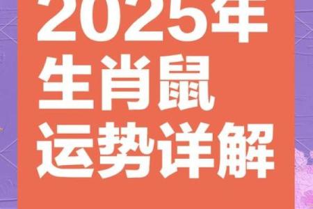 1984年女鼠2025年运势(1984年女鼠2025年运势及运程详解)
