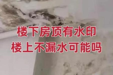 梦见楼上的水在我家房顶上往下漏