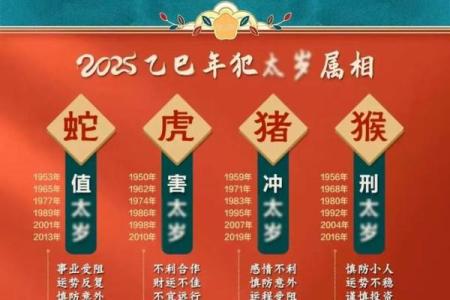 属鼠2025年的全年运势(属鼠2025年的全年运势及运程)