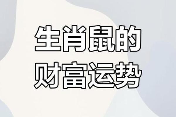 84年鼠今年财运怎么样(84年鼠今年财运怎么样呢)