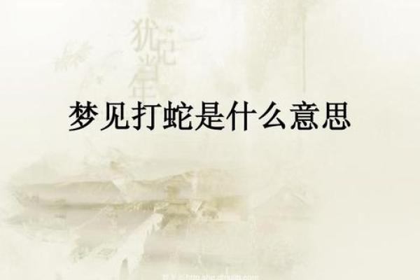 梦到假蛇是什么意思啊