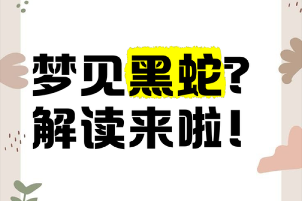 梦到一条大黑蛇
