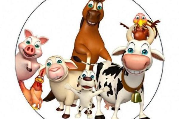 花落谁家是什么生肖 花落谁家是什么生肖