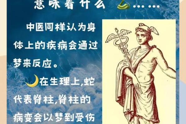 女人梦见黑蛇预示着什么
