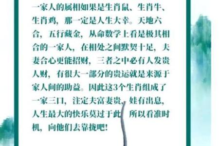 96的鼠2025年运势如何(96属鼠人未来十年运势)