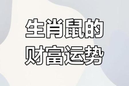 84年鼠今年财运怎么样(84年鼠今年财运怎么样呢)