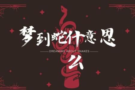 梦到蛇开口说话
