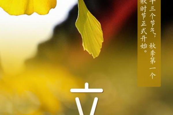 立秋节气的含义是什么意思 立秋是什么时候代表什么