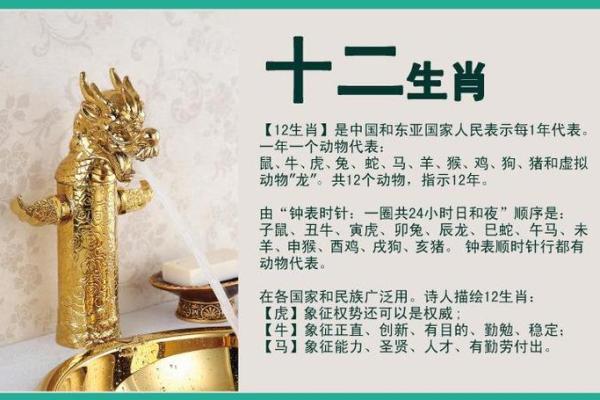 春秋一轮左右开是什么生肖