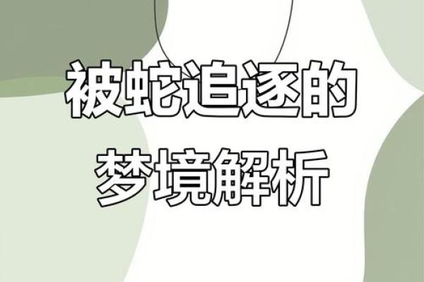 梦见被蛇追是什么预兆
