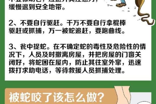 梦到蛇缠脚
