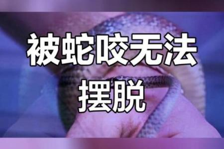 梦见被小黑蛇咬了是什么意思