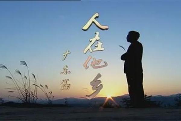 人在异乡心在家打一最佳生肖 身在异乡心在家里打一生肖-百...