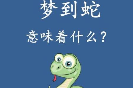 梦见好多蛇是什么预兆还被蛇咬了