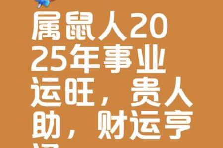 八四年属鼠2025年的运势(八四年属鼠2025年的运势及运程)