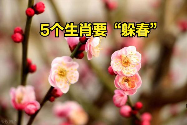 2021年躲春的生肖