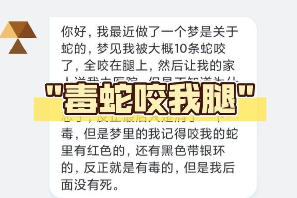 梦见路上全是蛇
