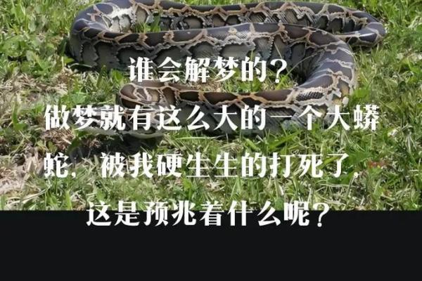 梦见自己捉了一条蛇是啥征兆