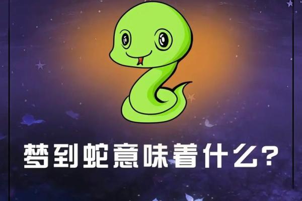梦见好长的蛇是什么预兆