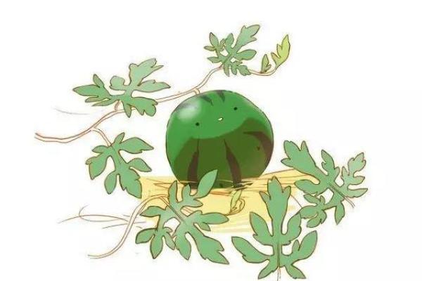 瓜田李是指什么生肖 瓜田李夏五六加指什么生肖
