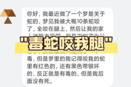 梦见路上全是蛇