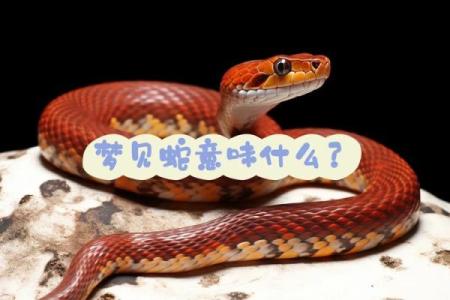 梦见自己捉了一条蛇是啥征兆