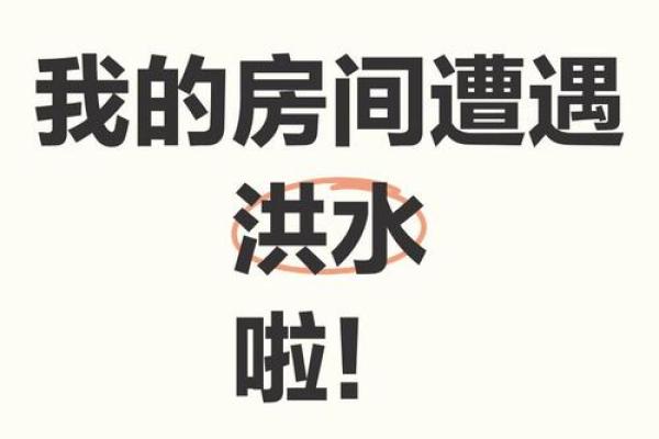 梦见房子进了很多水
